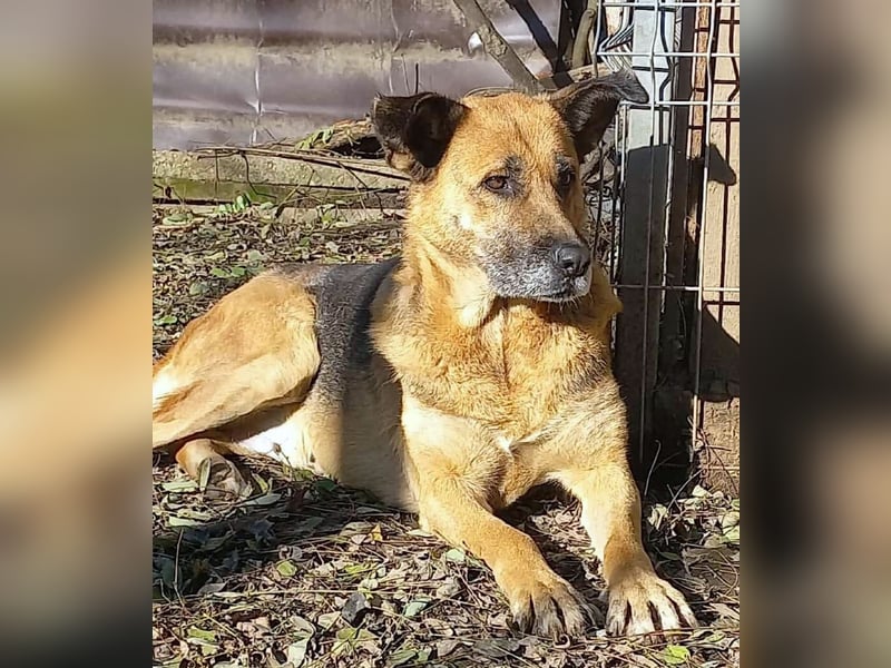 Ionica - sanft und freundlich