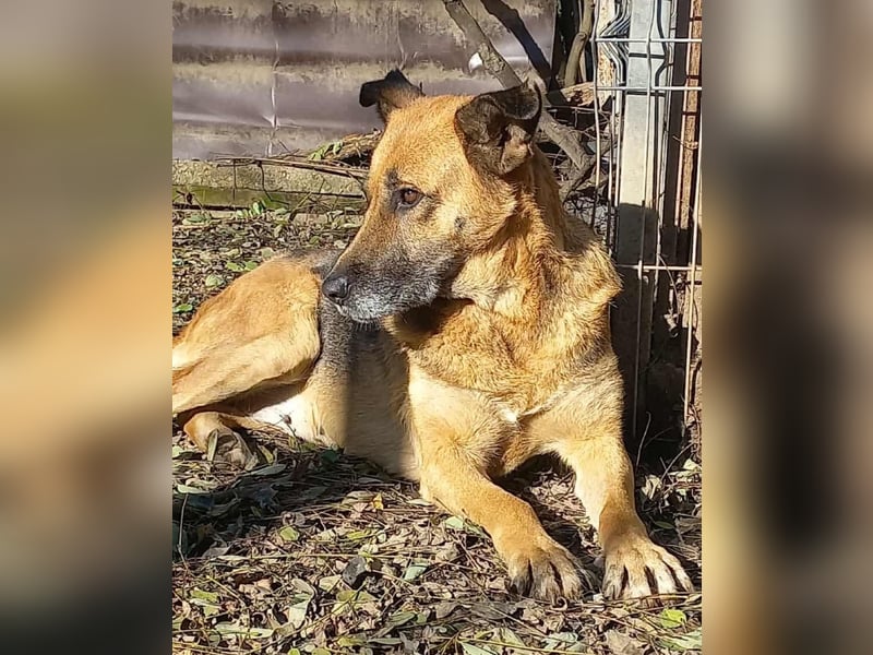 Ionica - sanft und freundlich