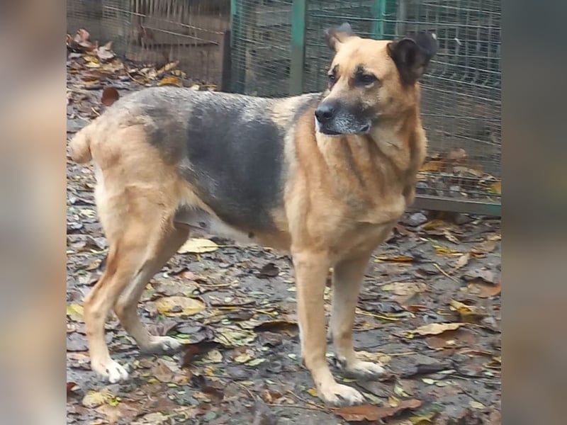 Ionica - sanft und freundlich