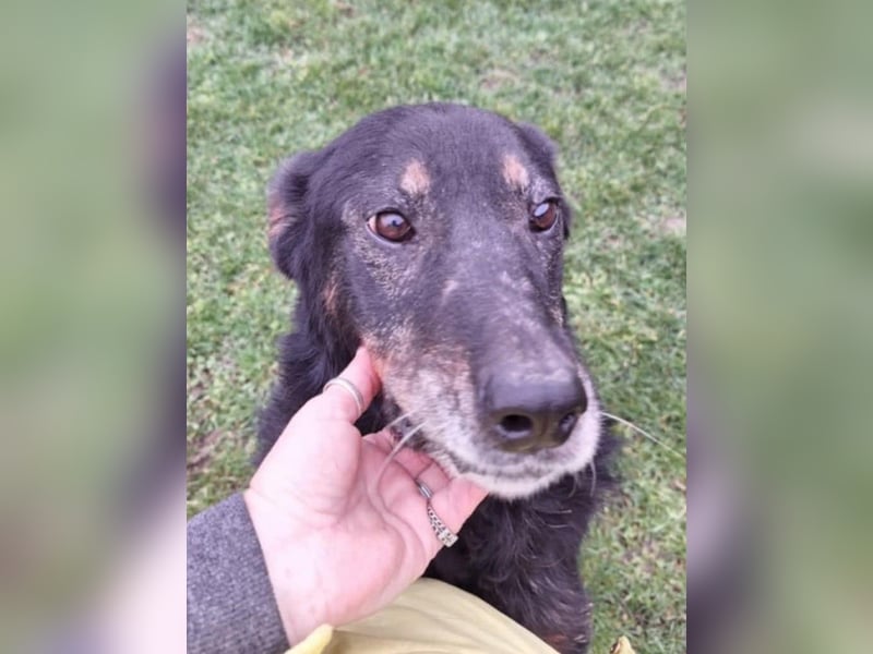 Martha von kettenlos