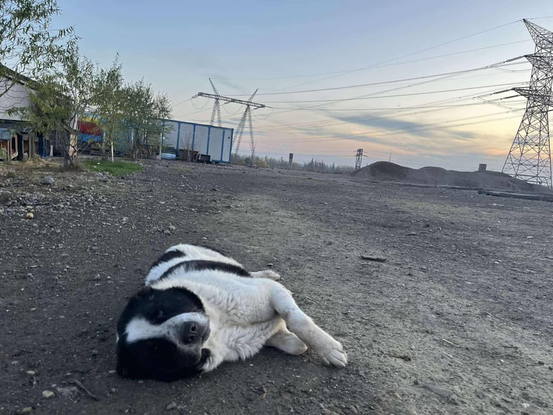 Karl Heinz von kettenlos