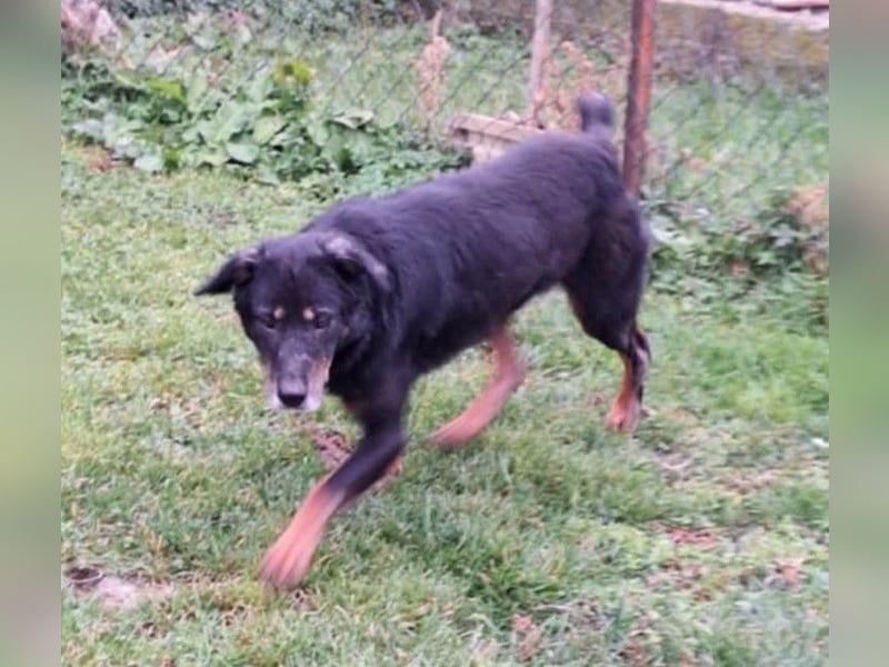 Martha von kettenlos