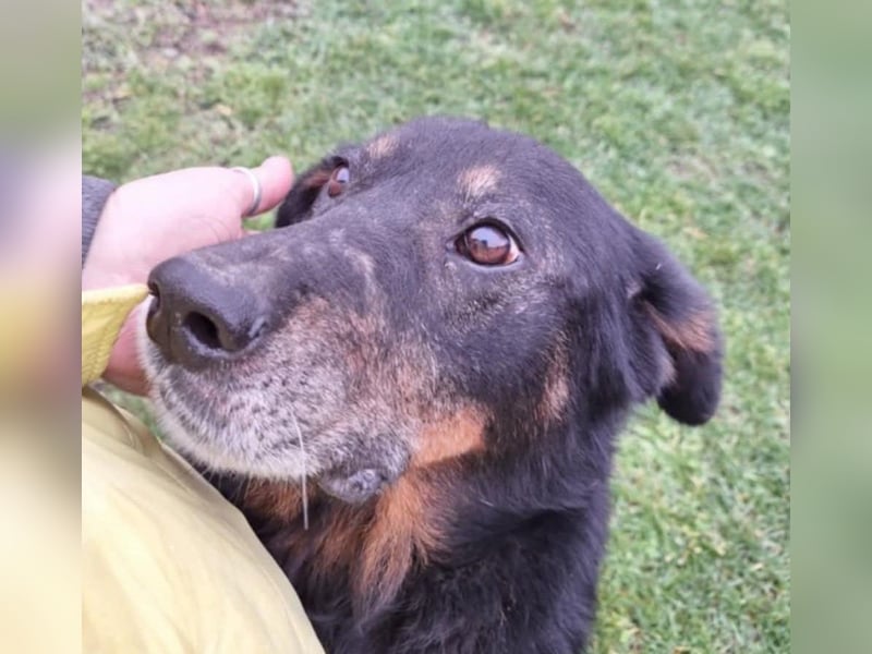 Martha von kettenlos