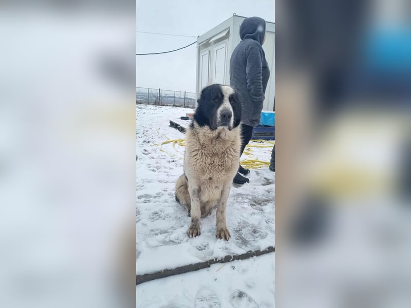 Karl Heinz von kettenlos