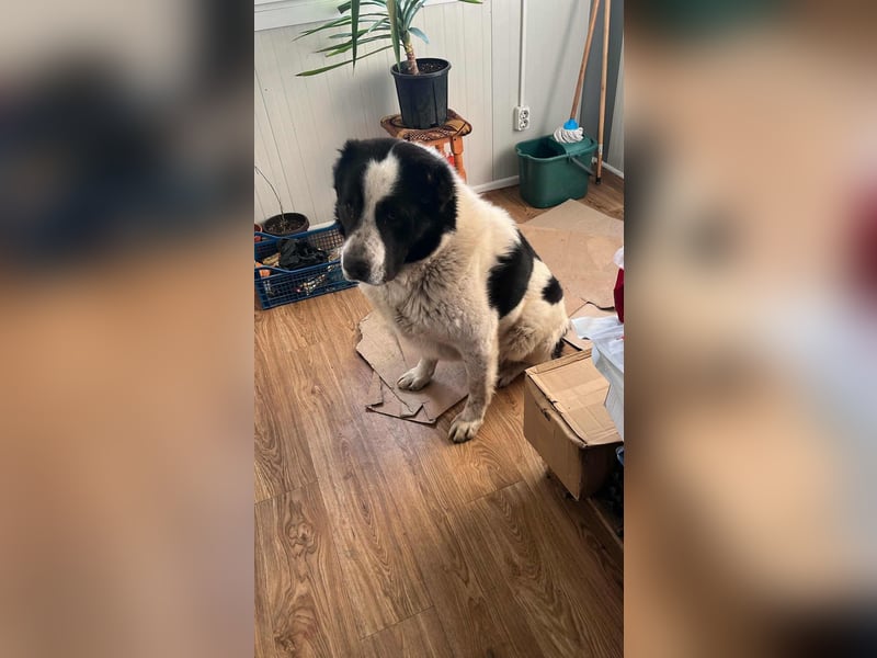 Karl Heinz von kettenlos