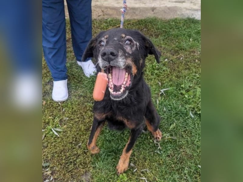 Martha von kettenlos