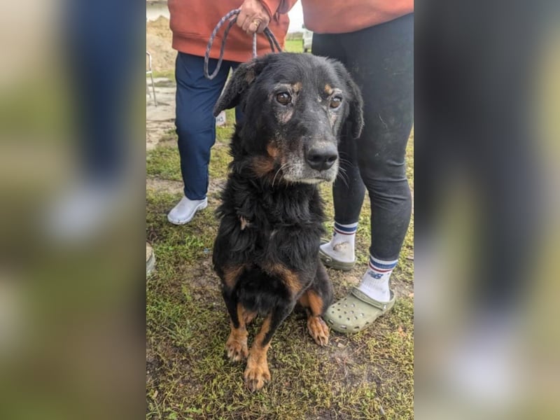 Martha von kettenlos