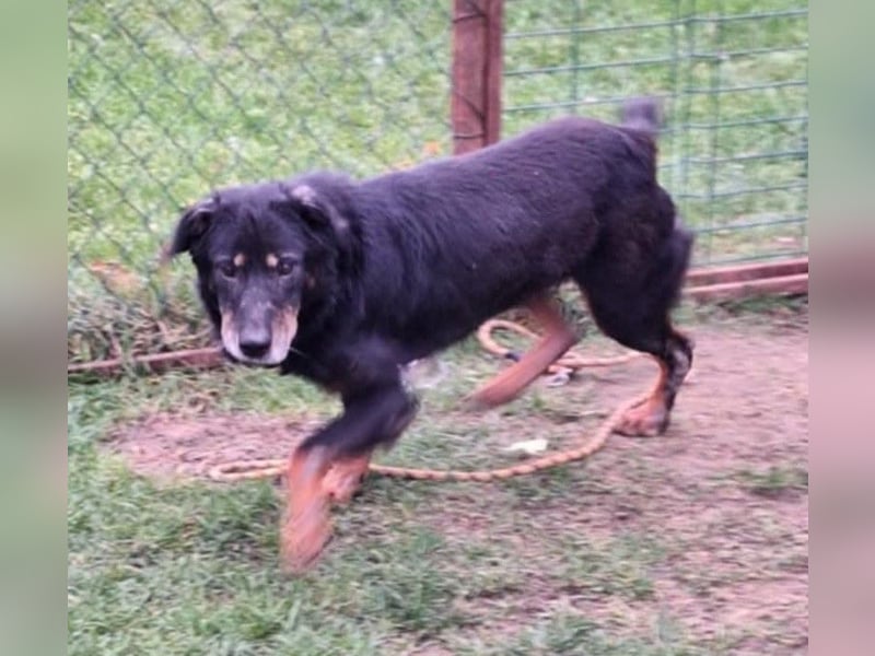 Martha von kettenlos