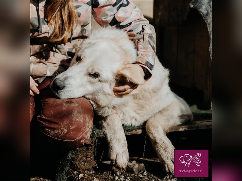 Schleckermäulchen Baboo möchte sein eigenes Zuhause! ❤️