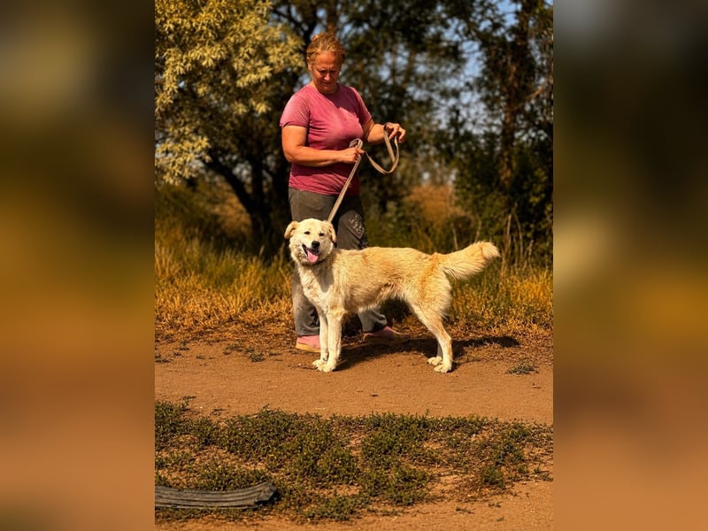 Sanfte Jana sucht liebevolles Zuhause