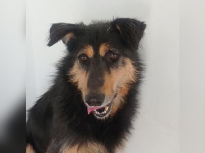 TONI-freundlicher Kerl im besten Alter