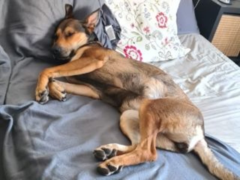 INDIA- fröhlich, munter und hübsch