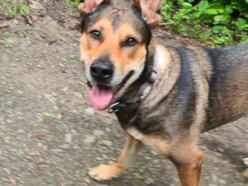 INDIA- fröhlich, munter und hübsch