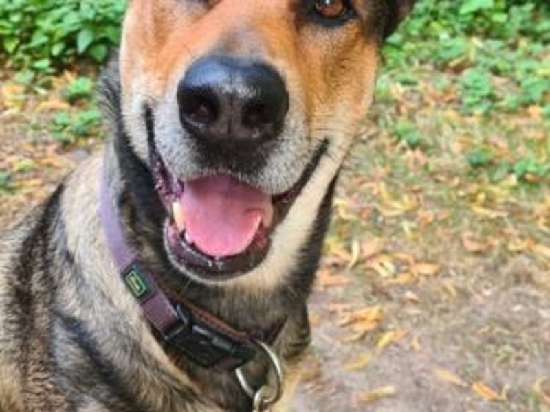 INDIA- fröhlich, munter und hübsch