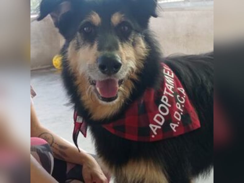 TONI-freundlicher Kerl im besten Alter