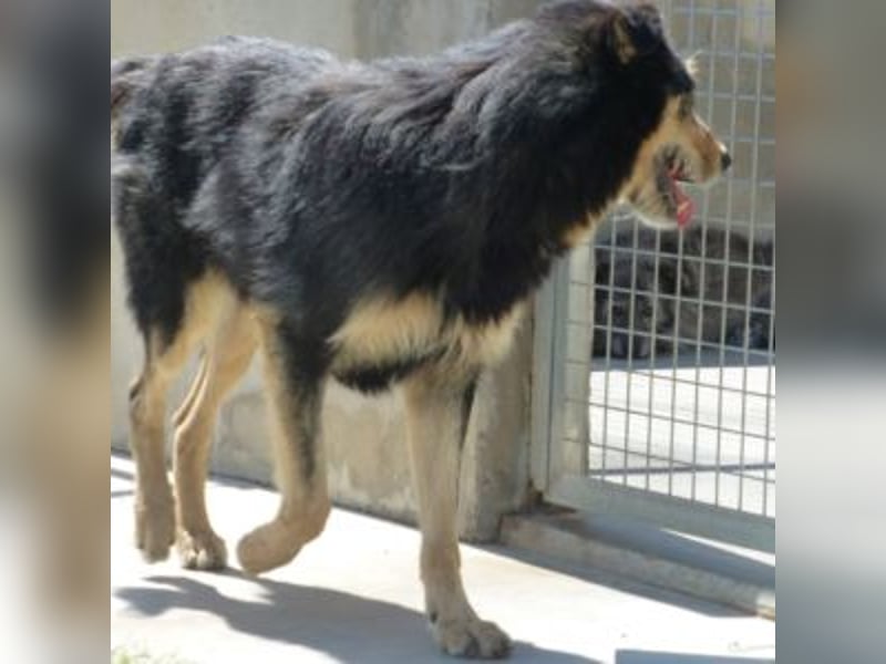 TONI-freundlicher Kerl im besten Alter