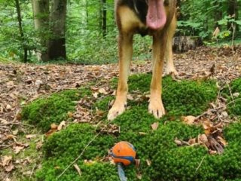 INDIA- fröhlich, munter und hübsch