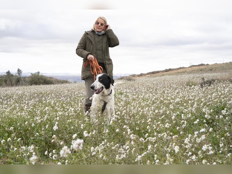 MARA- freundliche,liebevolle Schönheit, kooperativ, gehorsam, sucht liebevolle Familie