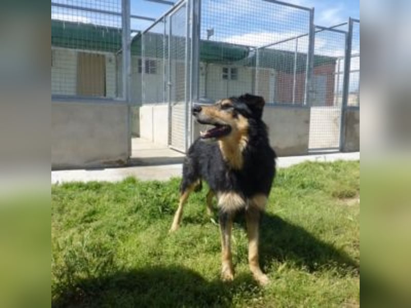 TONI-freundlicher Kerl im besten Alter