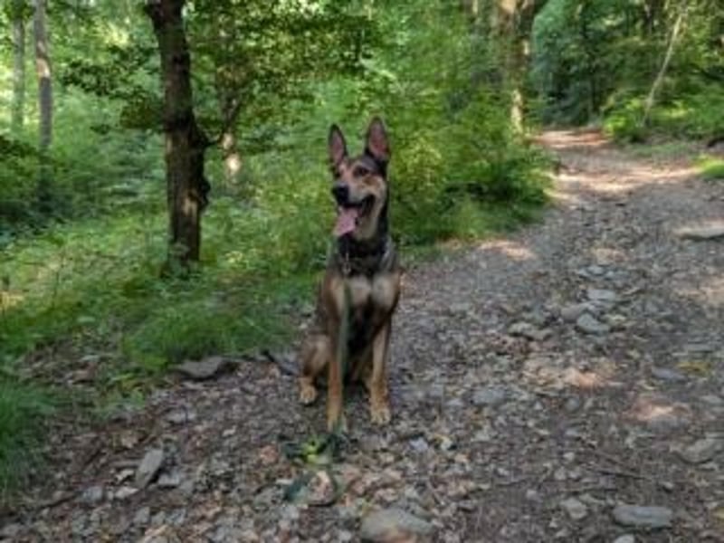 INDIA- fröhlich, munter und hübsch