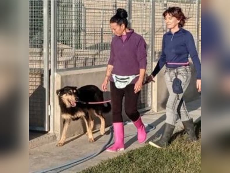 TONI-freundlicher Kerl im besten Alter