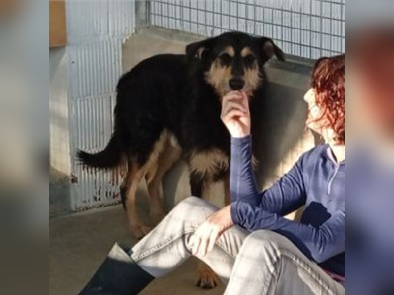 TONI-freundlicher Kerl im besten Alter