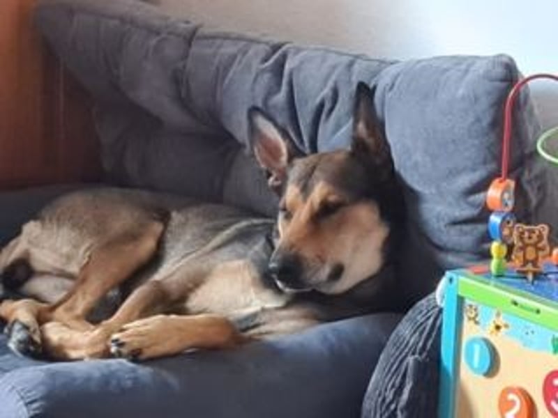 INDIA- fröhlich, munter und hübsch