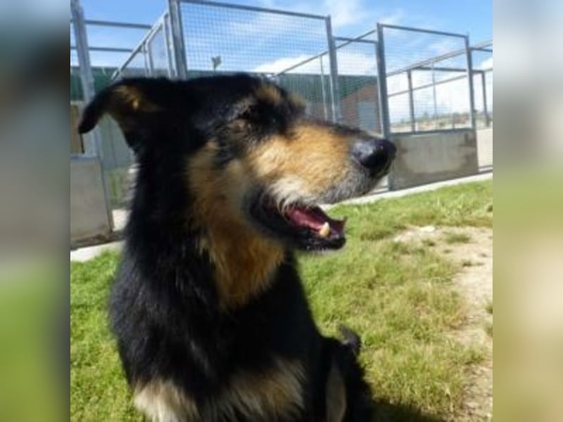 TONI-freundlicher Kerl im besten Alter