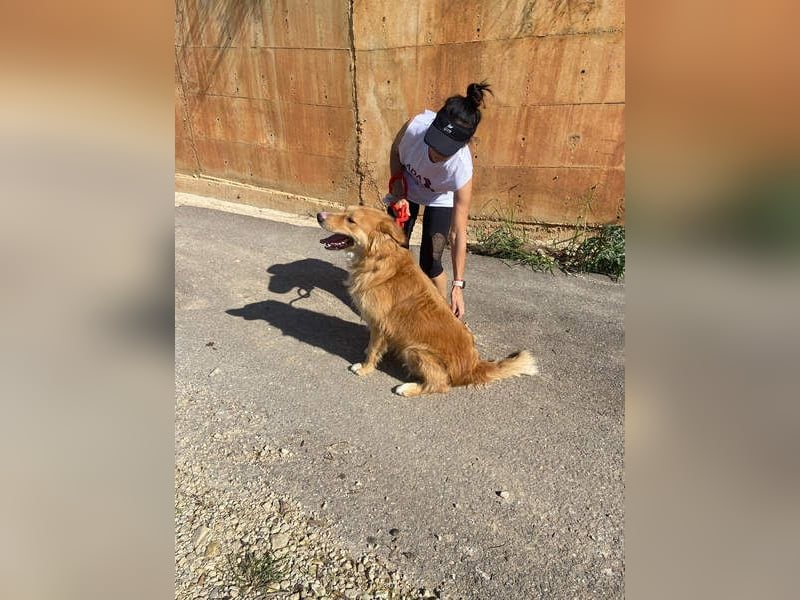 TOBY- möchte zeigen, dass er ein Hund mit einem unglaublich guten Herzen ist.