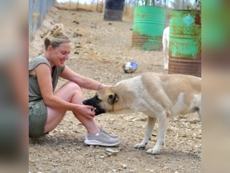 AMOUR – entzückendes Hundemädchen