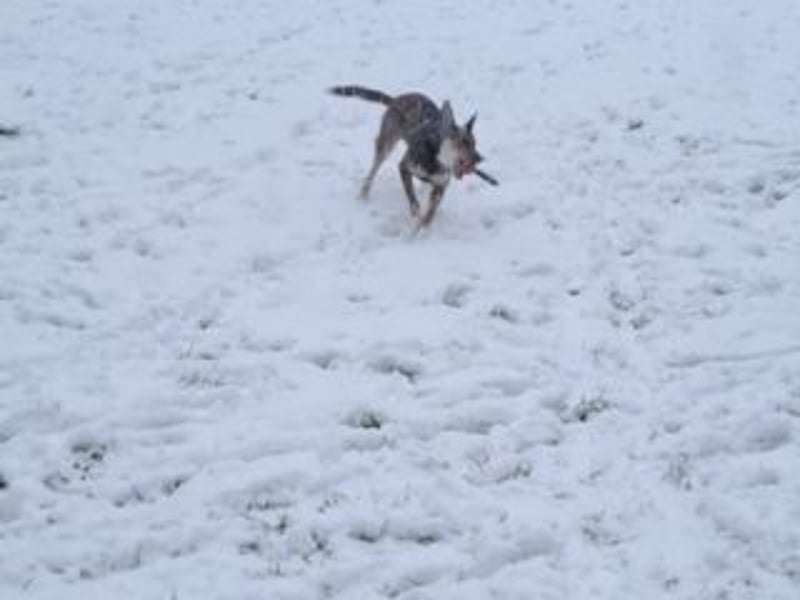 INDIA- fröhlich, munter und hübsch