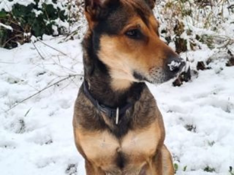 INDIA- fröhlich, munter und hübsch