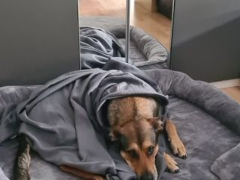 INDIA- fröhlich, munter und hübsch