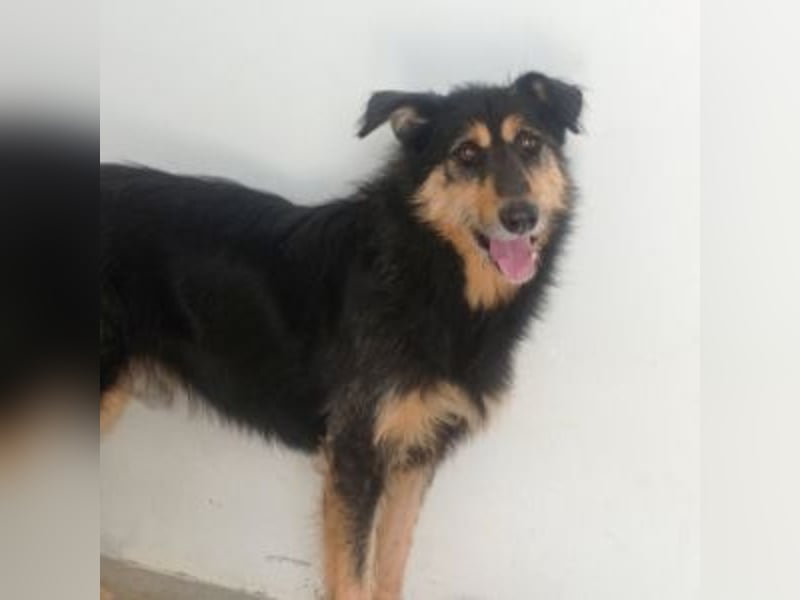 TONI-freundlicher Kerl im besten Alter