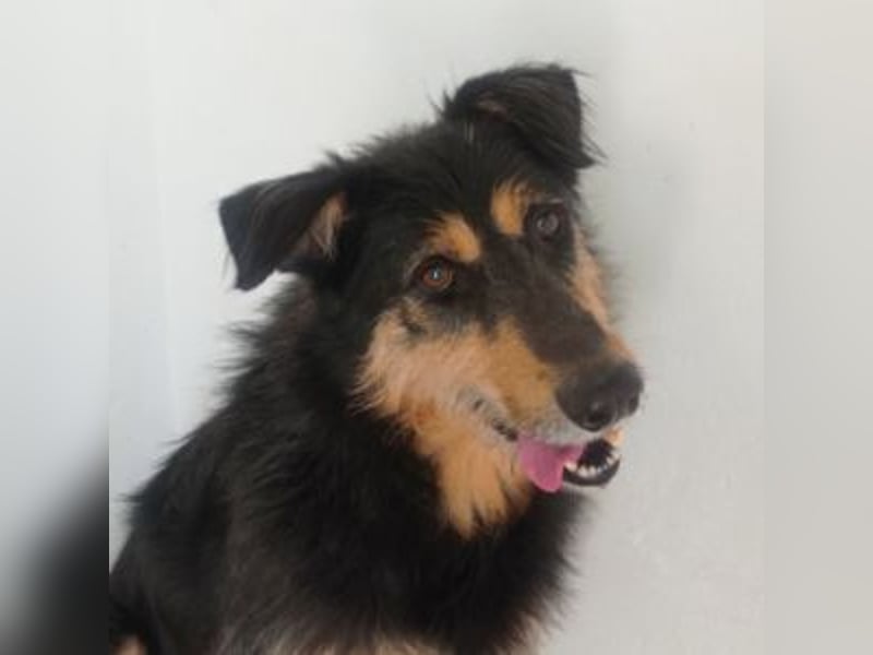 TONI-freundlicher Kerl im besten Alter