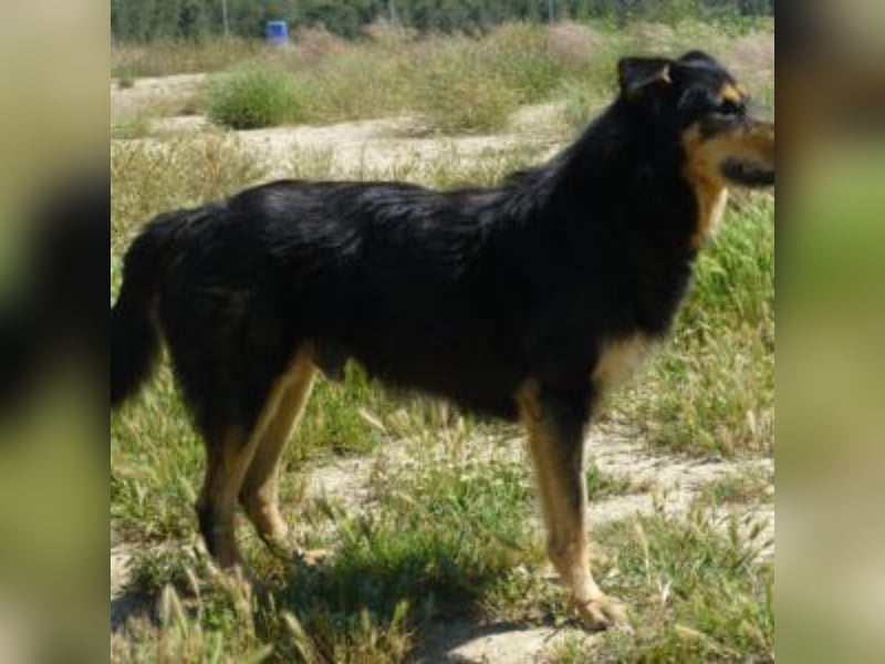 TONI-freundlicher Kerl im besten Alter