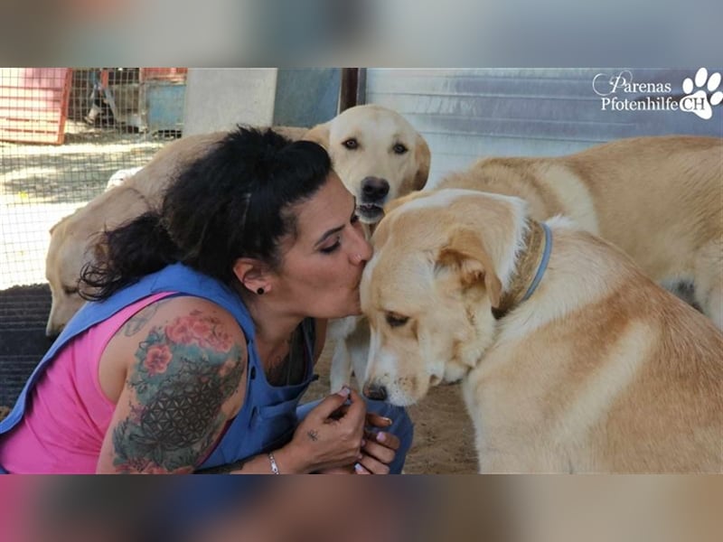 Gero wird im Refugio groß und bekommt dort alles mit für ein unbeschwertes Leben