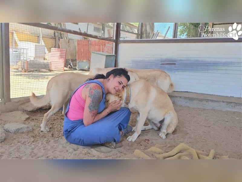 Gero wird im Refugio groß und bekommt dort alles mit für ein unbeschwertes Leben