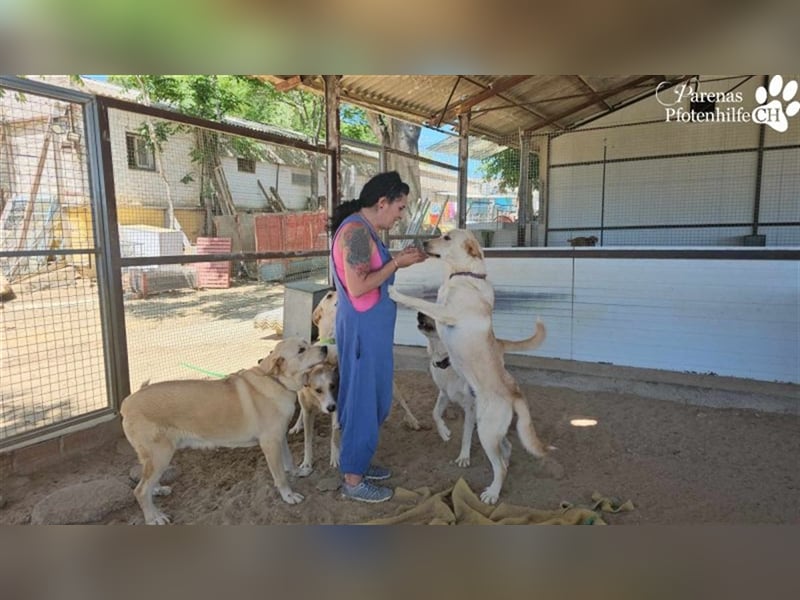 Gero wird im Refugio groß und bekommt dort alles mit für ein unbeschwertes Leben