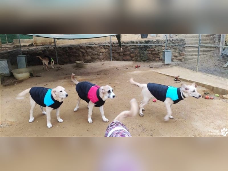 Gero wird im Refugio groß und bekommt dort alles mit für ein unbeschwertes Leben