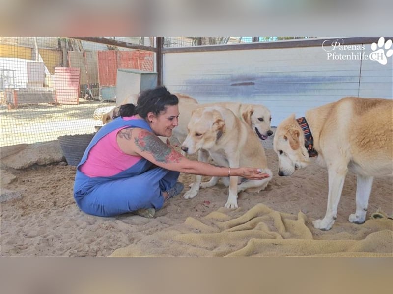 Gero wird im Refugio groß und bekommt dort alles mit für ein unbeschwertes Leben