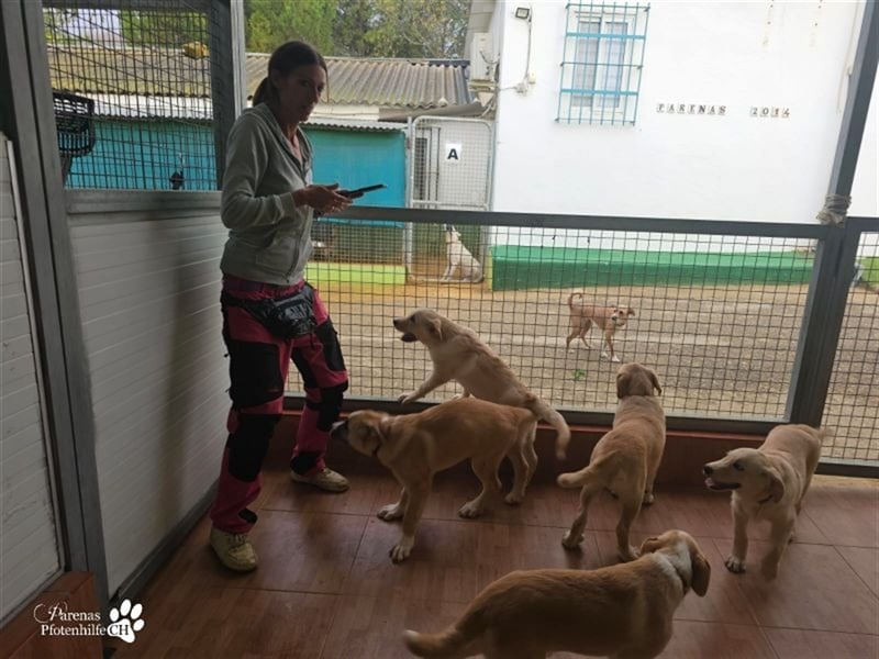 Gero wird im Refugio groß und bekommt dort alles mit für ein unbeschwertes Leben