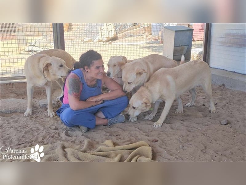 Gero wird im Refugio groß und bekommt dort alles mit für ein unbeschwertes Leben