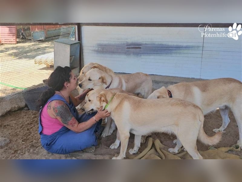 Gero wird im Refugio groß und bekommt dort alles mit für ein unbeschwertes Leben
