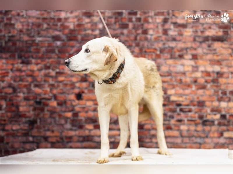 Gero wird im Refugio groß und bekommt dort alles mit für ein unbeschwertes Leben