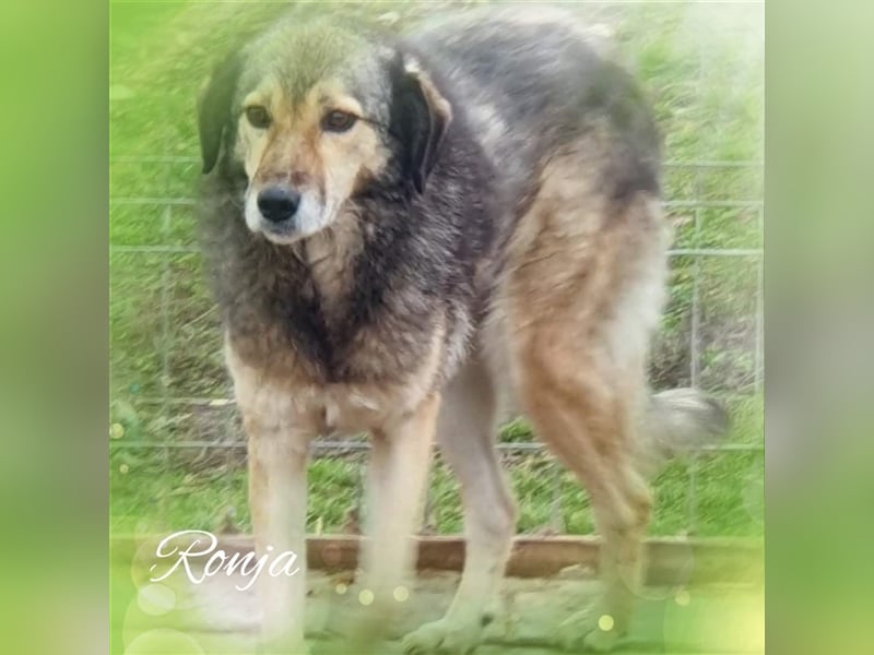 Ronja: Hundeomi möchte 1x Liebe spüren