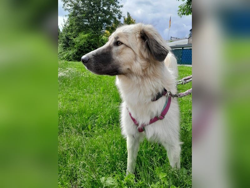 Liesa sucht ihr großes Glück