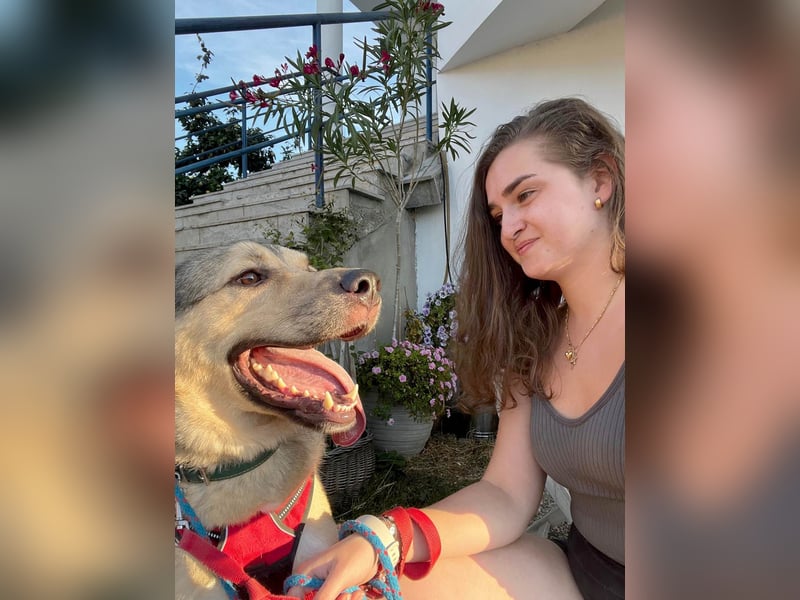 Romeo wünscht sich ein für immer Zuhause