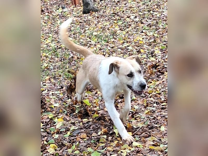 Die liebe Debra ist voller Lebensfreude !