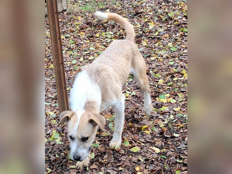 Die liebe Debra ist voller Lebensfreude !